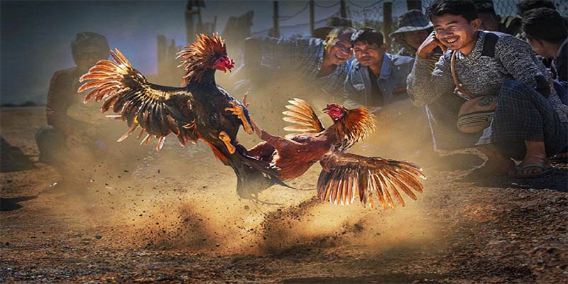 kubet888 chơi bắn cá đổi thưởng