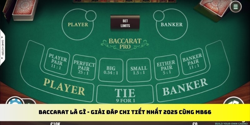 kubet888 gà chọi cu cần