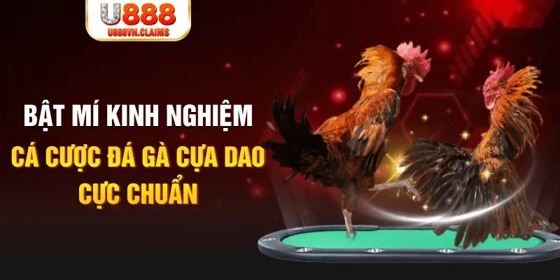 kubet888 tỷ lệ cá cược châu á là gì