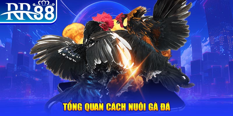 kubet888 VA Điện Tử