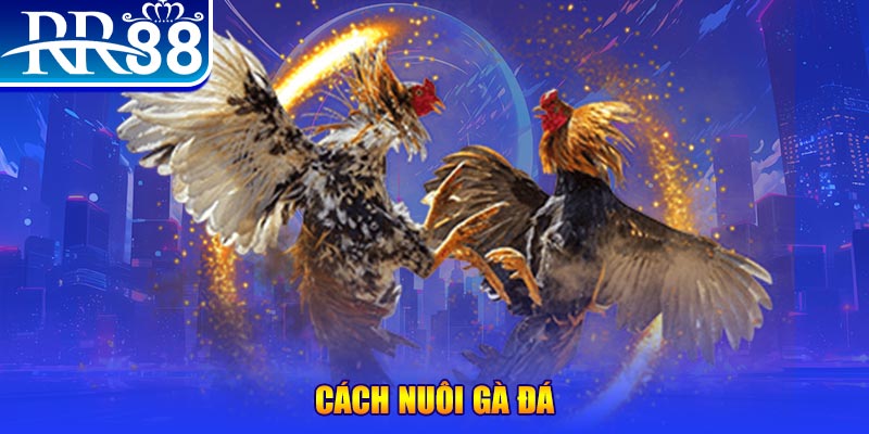 kubet888 xổ số an giang