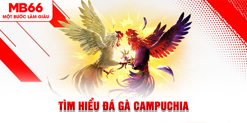 kubet888 đá gà trực tiếp