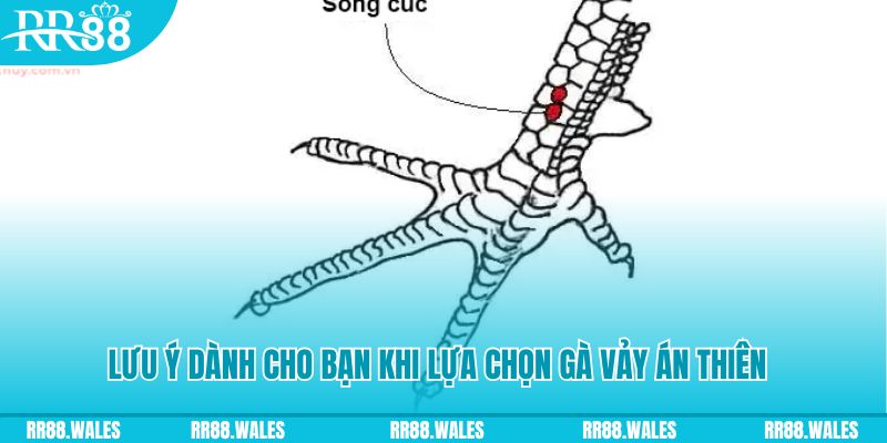 kubet888 xổ số đồng nai
