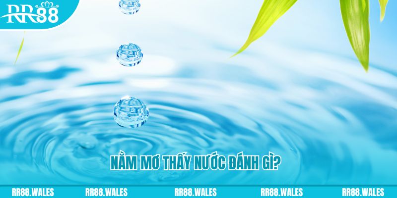 kubet888 TP Bắn cá