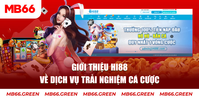 kubet888 ga choi hoa phong