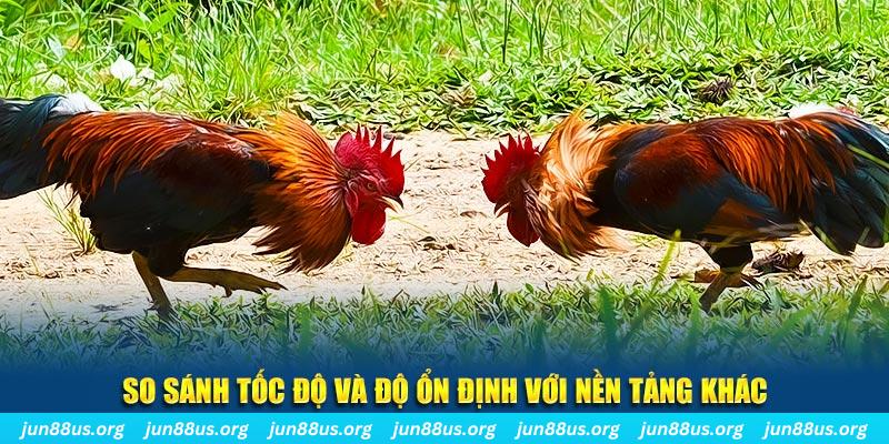 kubet888 đá gà hôm nay