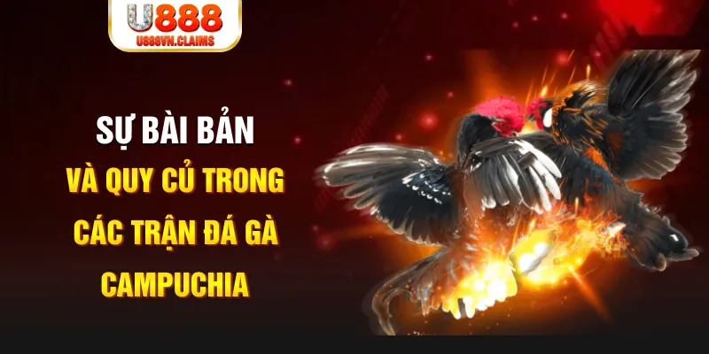 kubet888 YGR Điện Tử