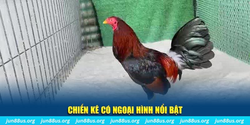 kubet888 chạy quảng cáo cho game bài bị phạt như thế nào