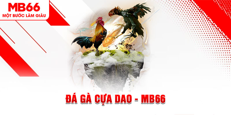 kubet888 đá gà sv388 gold
